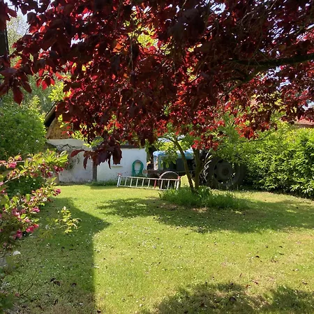 Fleur Bleue Longueil