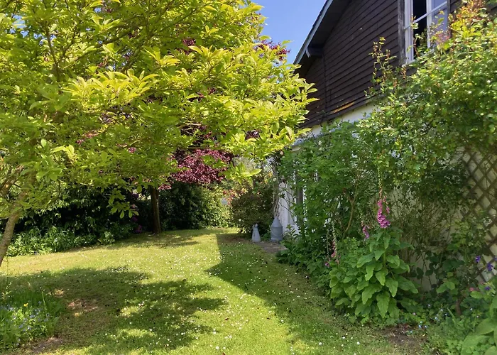 Fleur Bleue Longueil