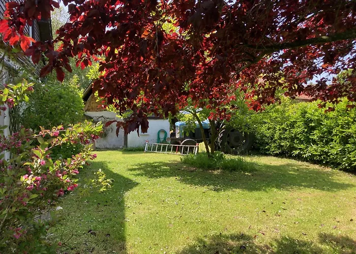 Fleur Bleue Longueil