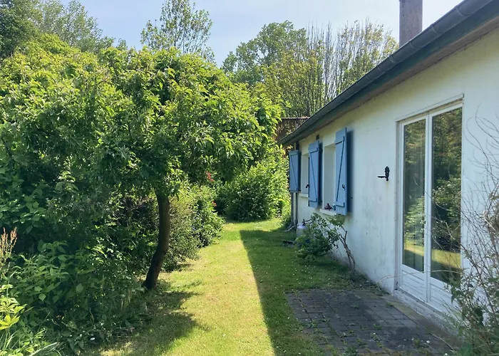 Fleur Bleue Longueil